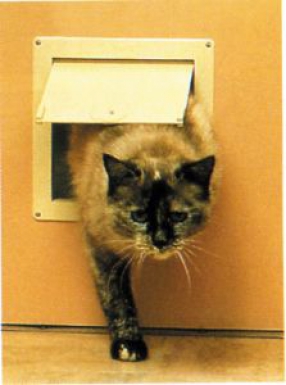 Chatière pour petits animaux domestiques passage 159x160 mm sable. disponible abidjan cote d'ivoire.